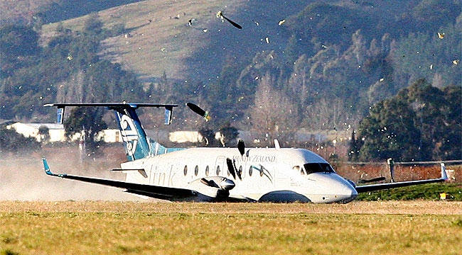 Bleinheim Plane Crash Landing