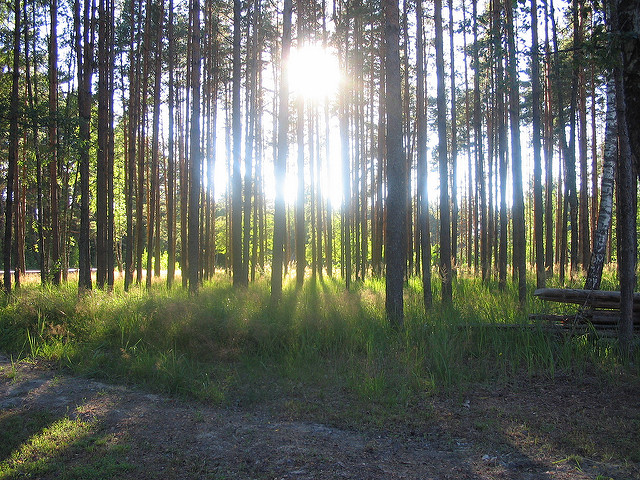 Lahemaa National Park, Estonia