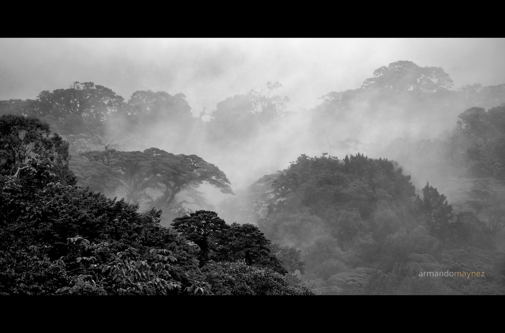 Beyond the Fog, Costa Rica