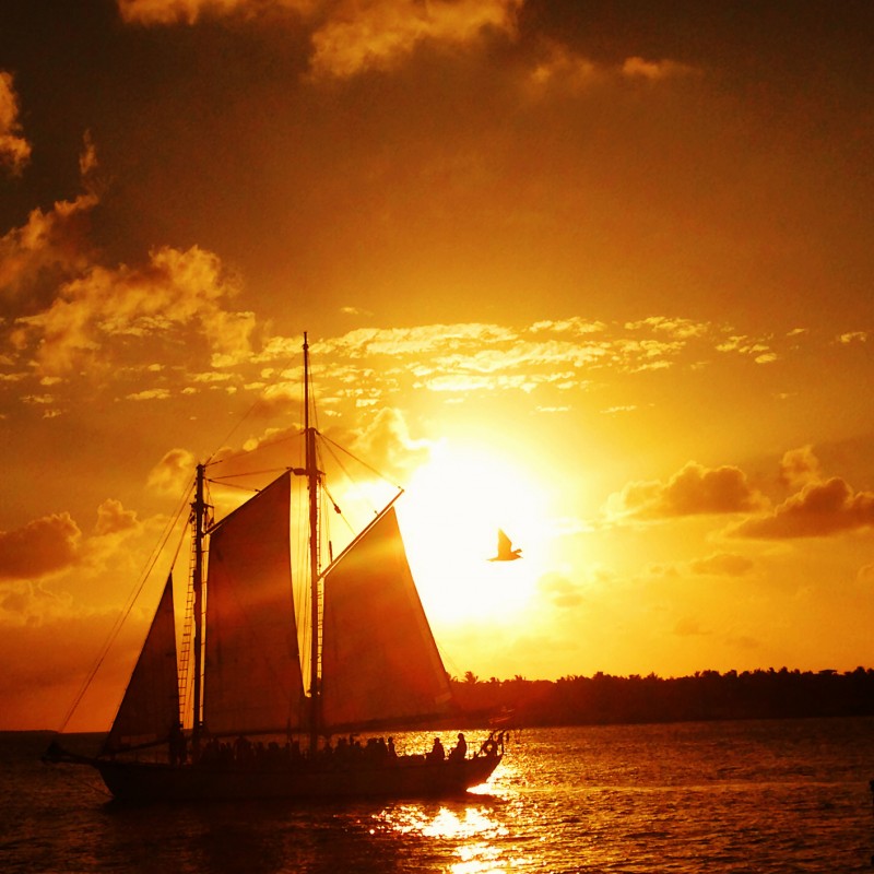 Bird, schooner, sunset in Key West, Florida