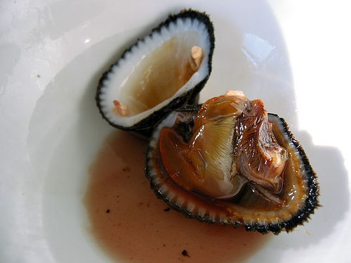 Blood Clams (Opened)