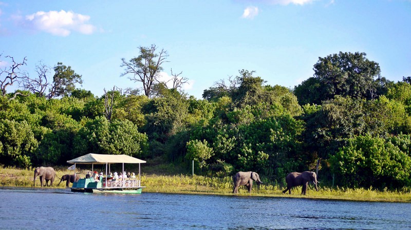 Boat along the bank of the Chobe River, Botswana