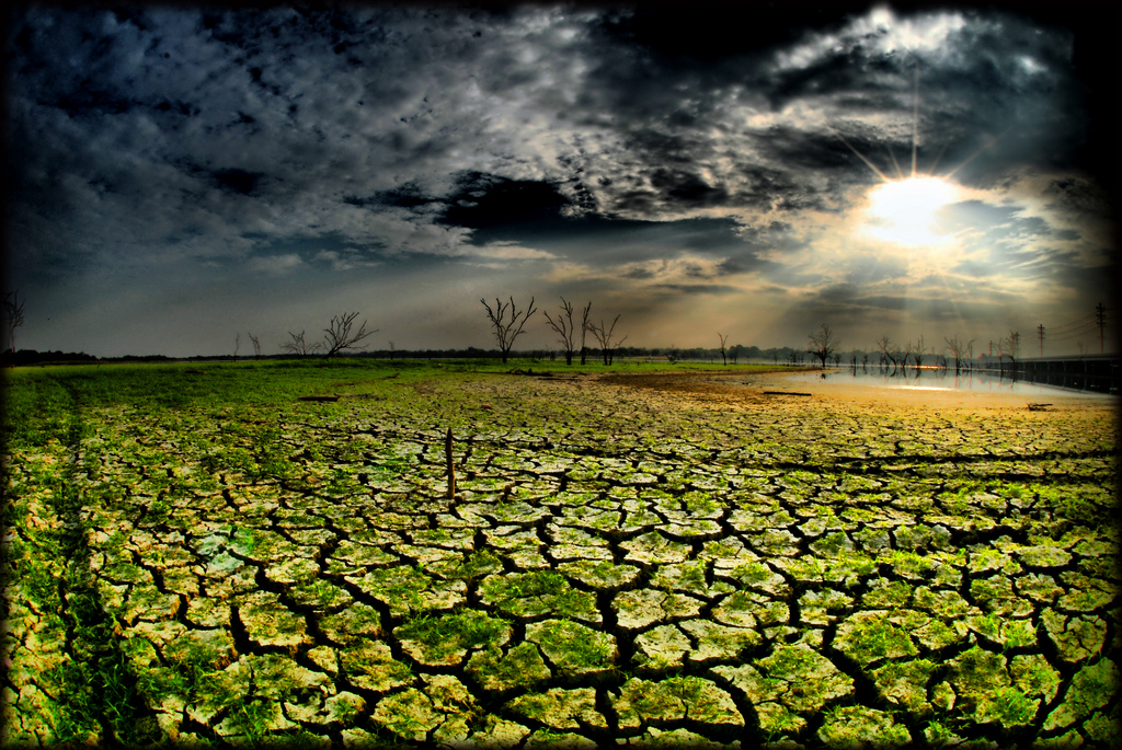 Cracked Lake Ray Hubbard in Dallas, Texas