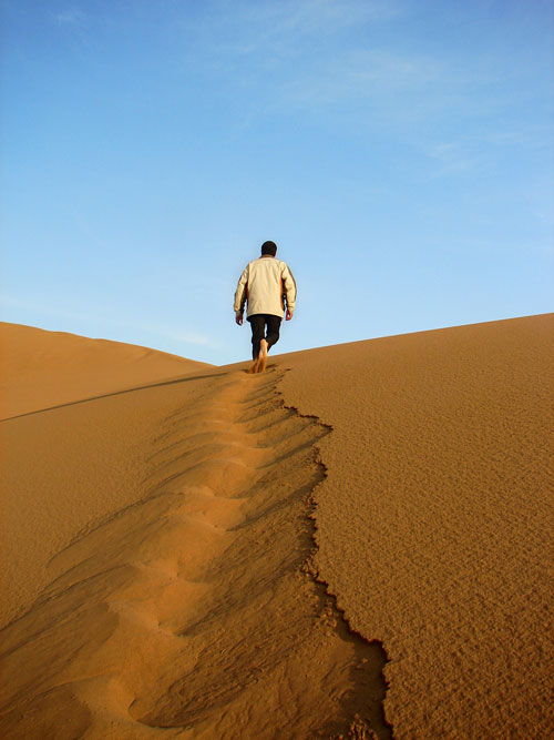 Traveler in Desert