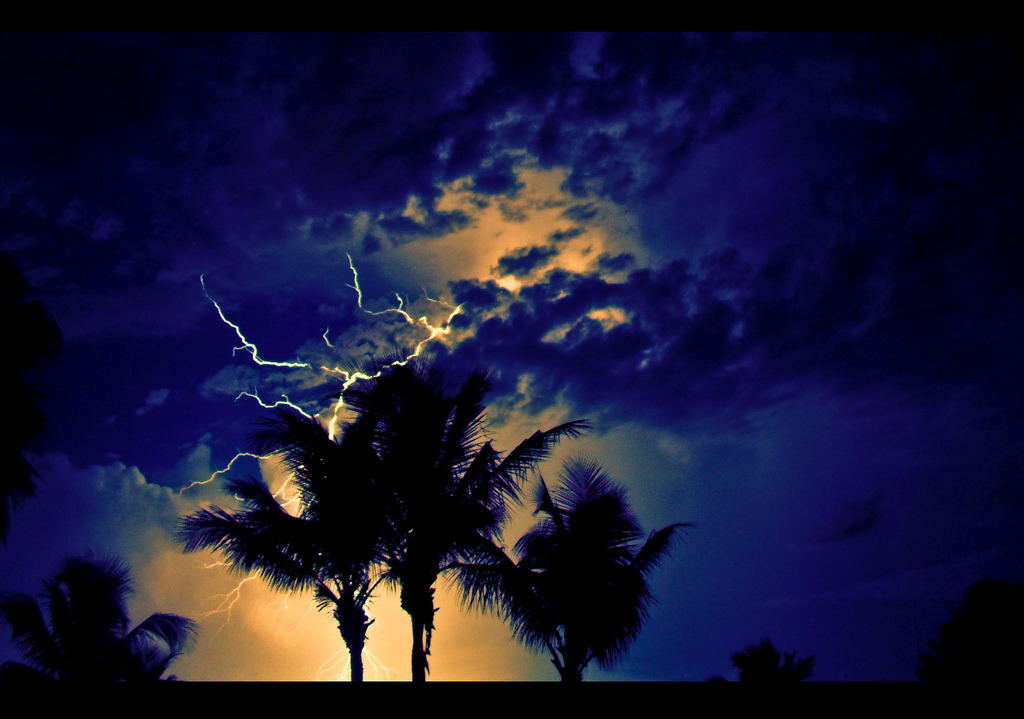 Two palm trees in thunder storm in Providencales, Turks & Caicos