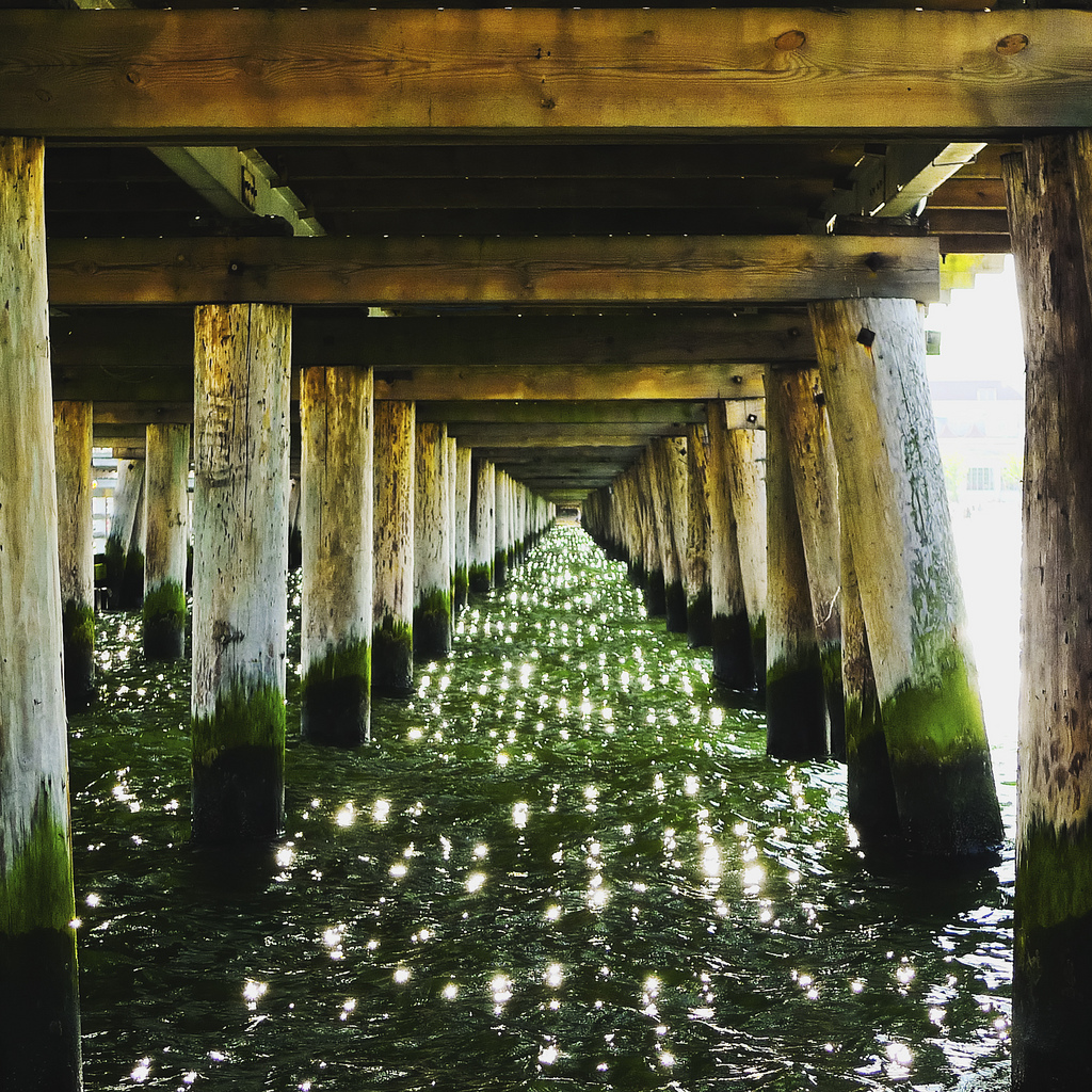 View of green water from beneath pier in Sopot, Poland