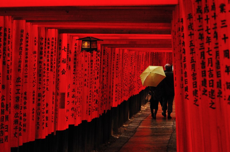 Lost in Red at Inari Shrine, Kyoto