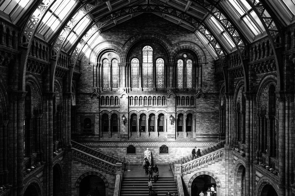 National History Museum, London (interior)