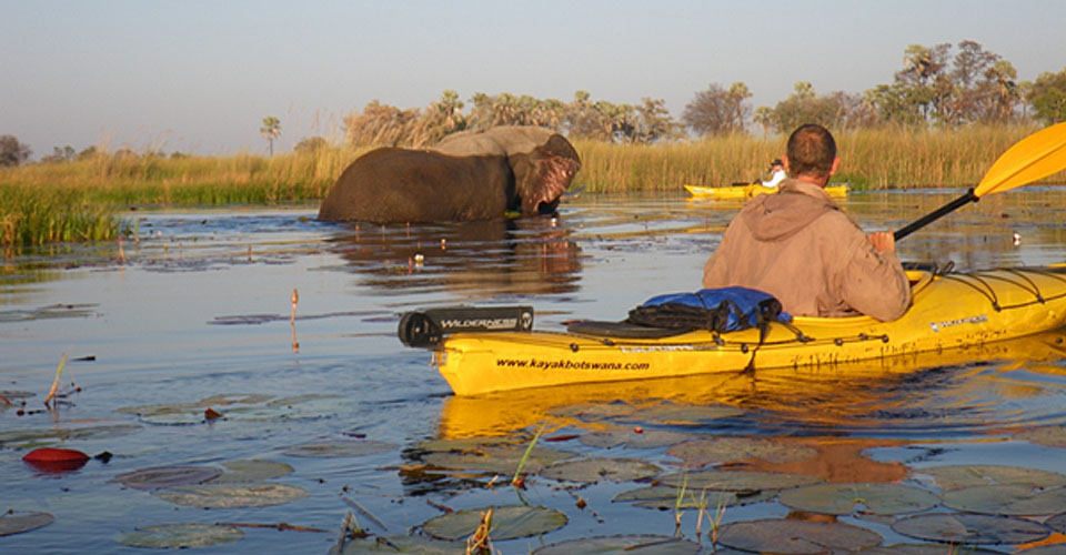 Natural Habitat Adventures Trip: Kayaking Botswana's Okavango Delta