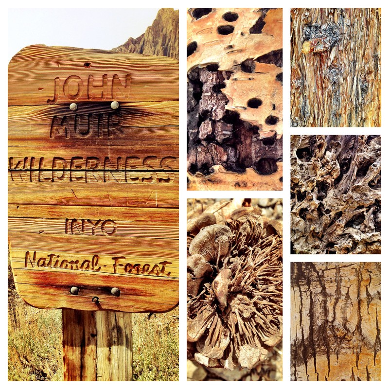 Natural Patterns of John Muir Wilderness Near Convict Lake, California