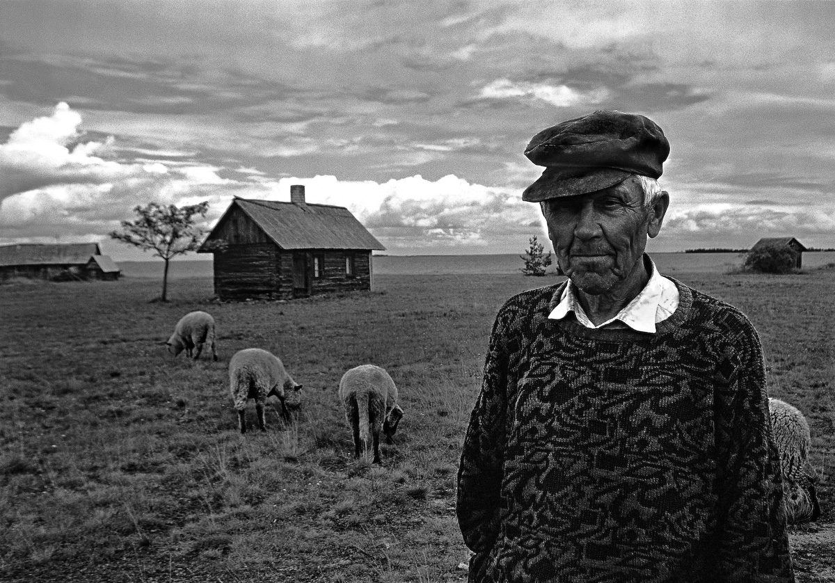 Old Man and His Sheep, Estonia