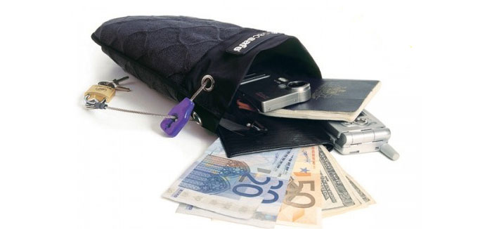 Pacsafe TravelSafe 100: Anti-Theft Travel Bag