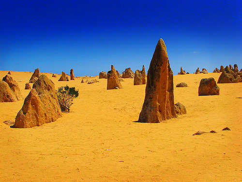 Pinnacles rock formations of Nambung National in Perth, Australia