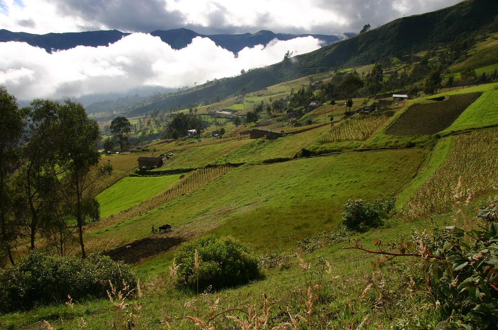 Rural Ecuador