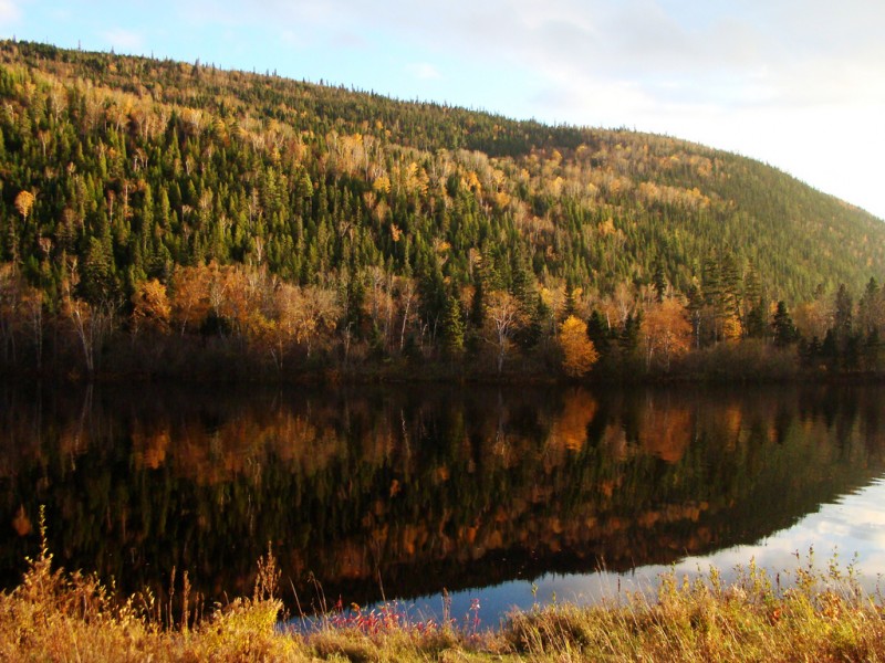 Autumn Colors of Saguenay Fjord, Quebec