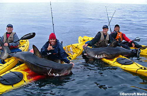 Shark Fishing in a Kayak