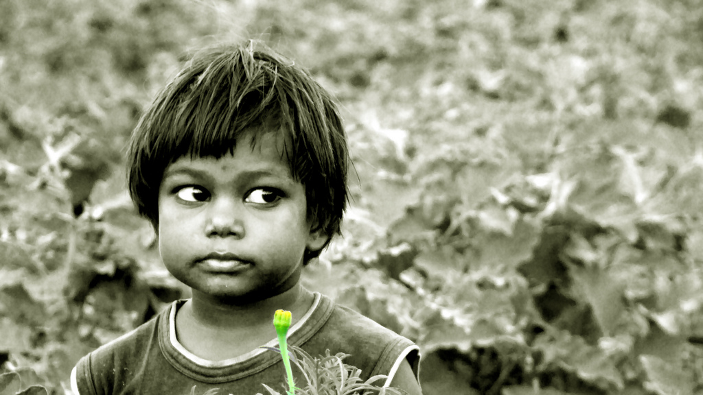 B&W child in field; flower in foreground highlighted