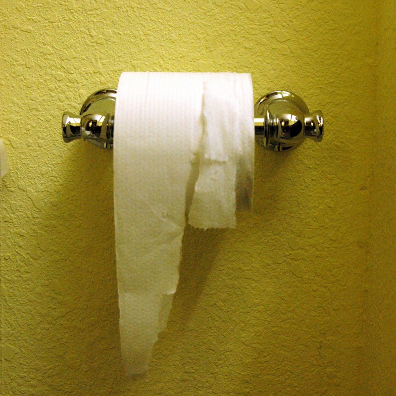 Shredded Toilet Paper Roll