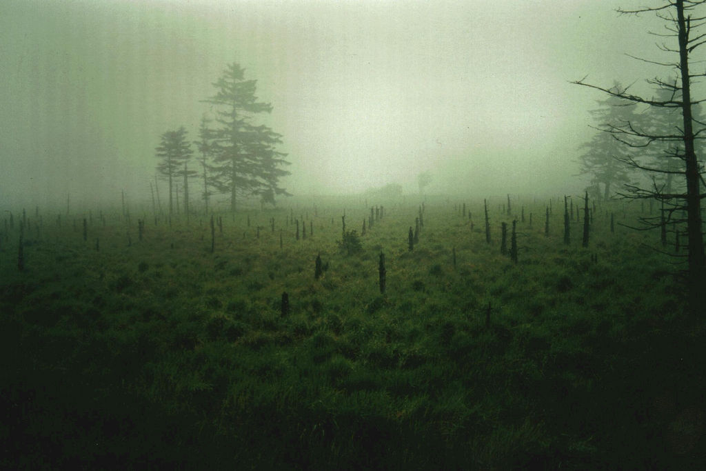 Solitude in the Mist, Belgium