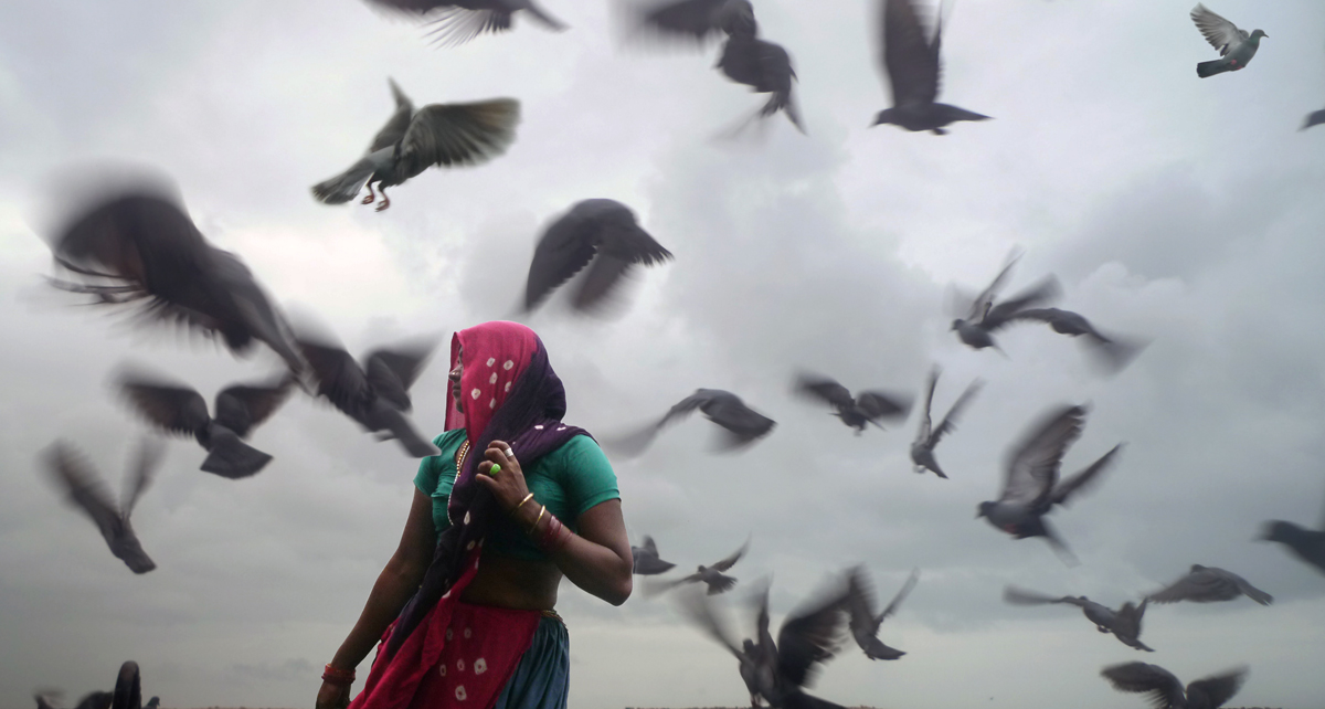Woman beneath a large flock of birds in Dwarka, India