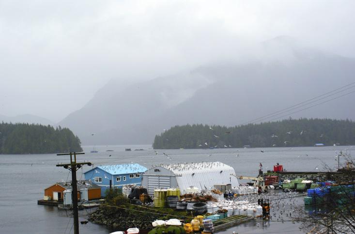 storm-vancouver-island