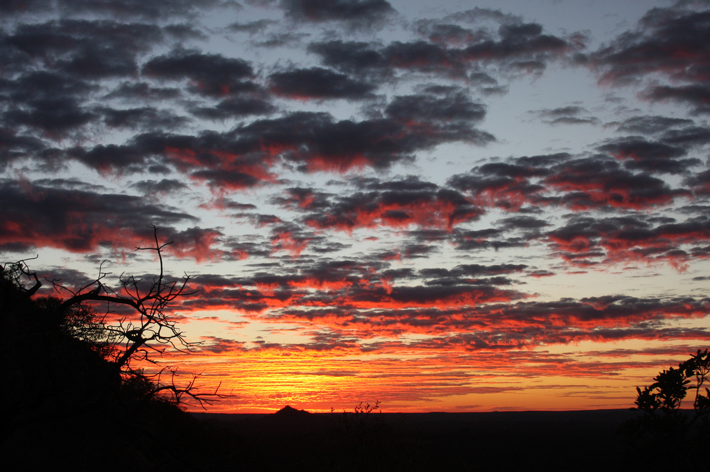 Sunrise Over Legodimo Nature Reserve, Botswana