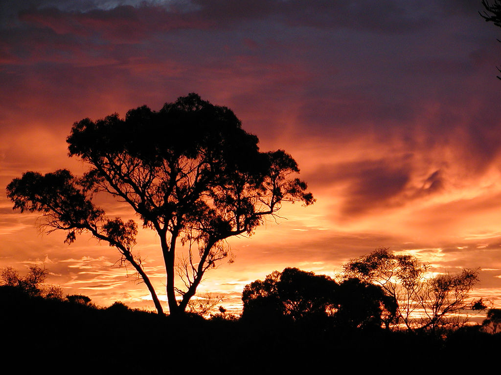 Sunrise in Perth, Western Australia