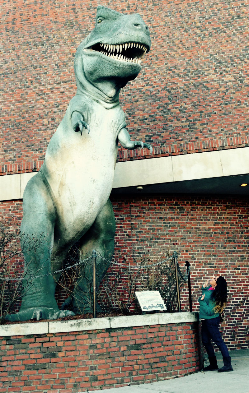 T-Rex Attack! (Boston Museum of Science)
