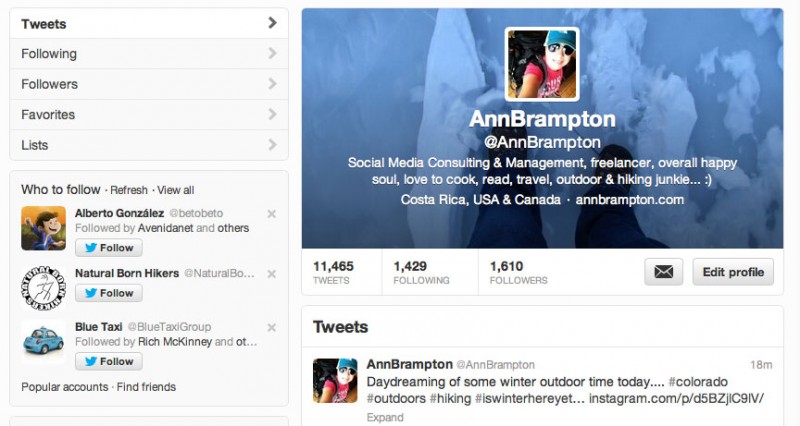 Ann Brampton's Twitter profile (screenshot)