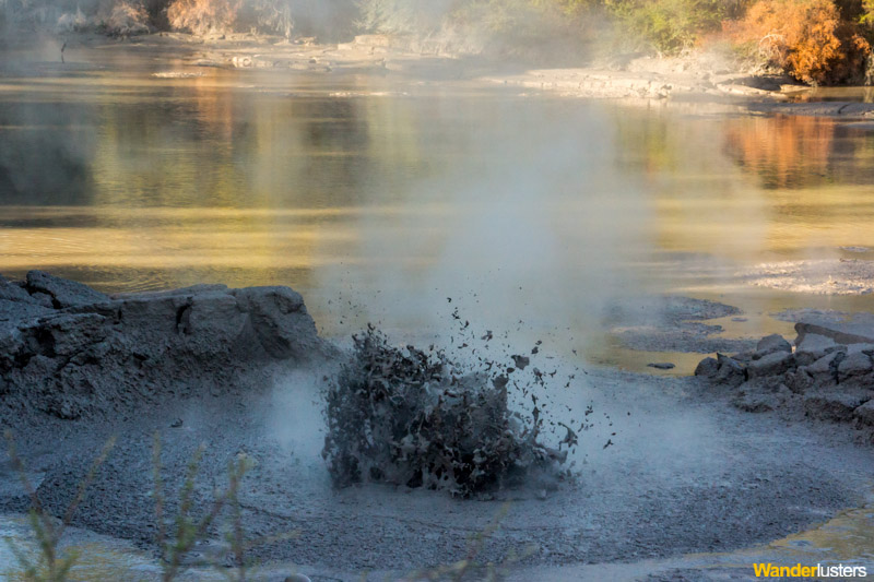 Boiling Mud at Wai-O-Tapu, Rotorua