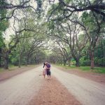 The Avenue at Wormsloe Plantation in Savannah, GA